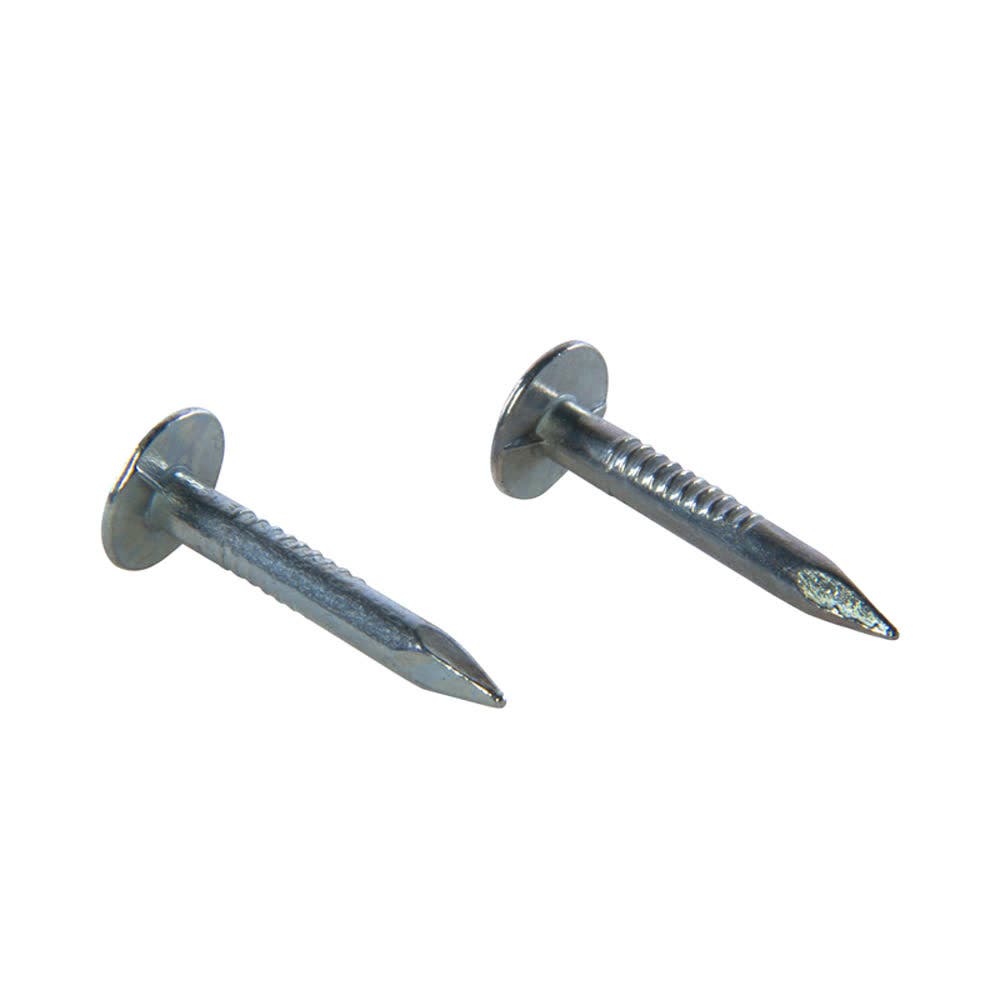 Clavo terrano env  1    1/2 kg