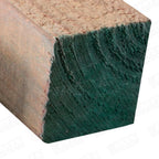Pino Bto. Verde 4 X  4 X 3.20 Mt.
