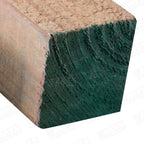 Pino Bto. Verde 3 X  3 X 3.20 Mt.