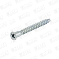 Tornillo soberbio 2